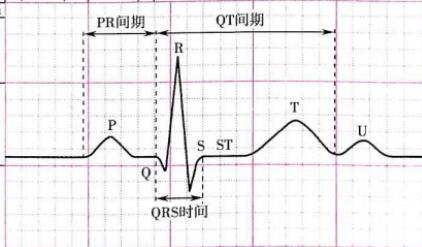 医学基础知识：心电图各波段的意义