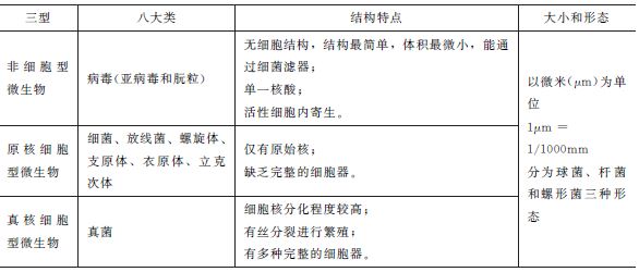 医疗招聘考试辅导资料：微生物的分型